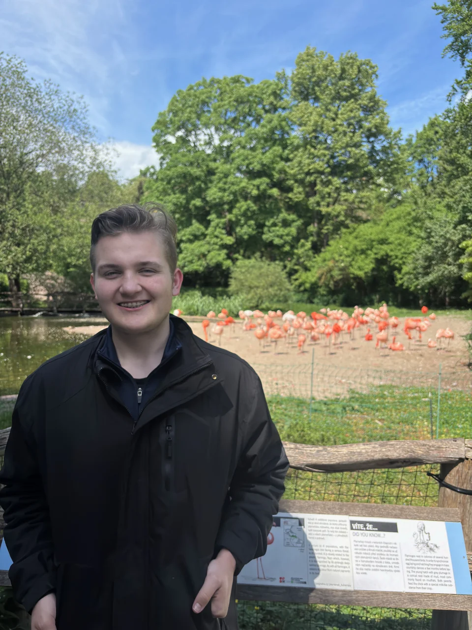 Donovan beside flamingos at Prague Zoo